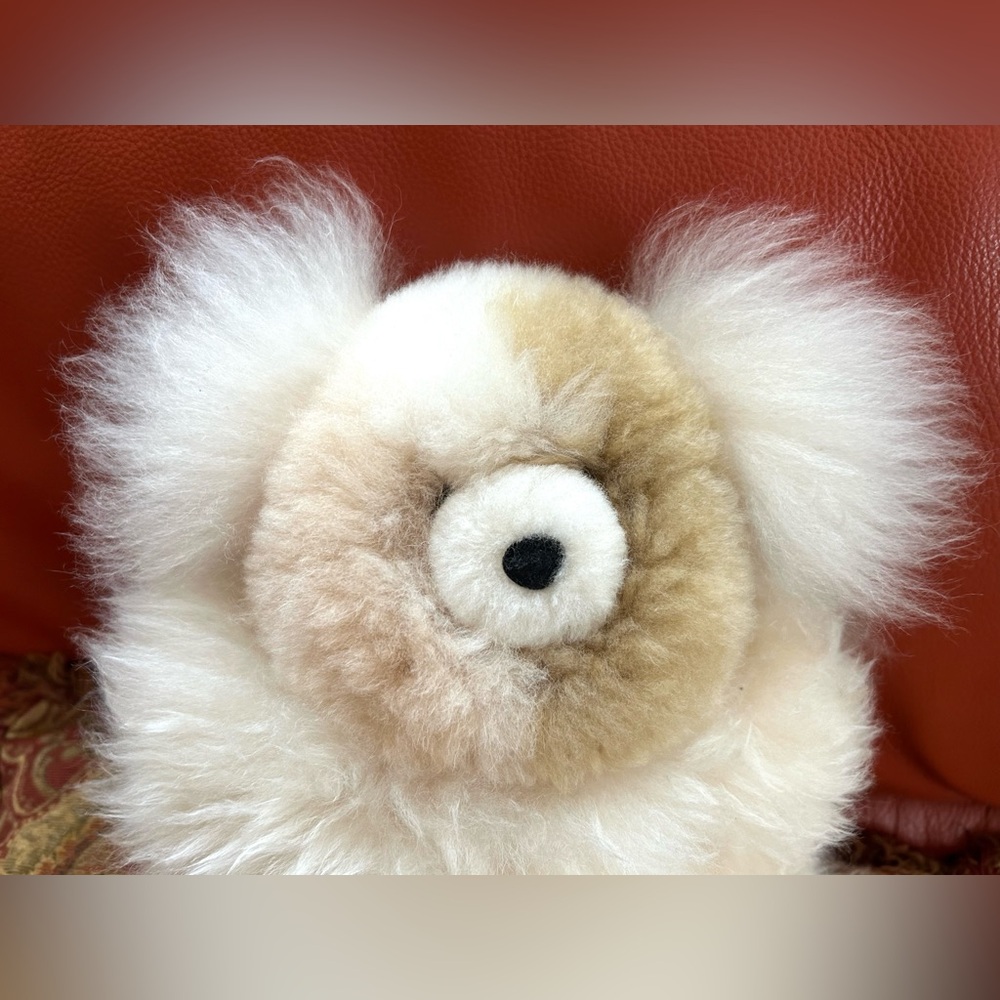 Alpaca wool fur teddy bear ❤️ Fur miracle toy